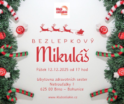 Obrázek